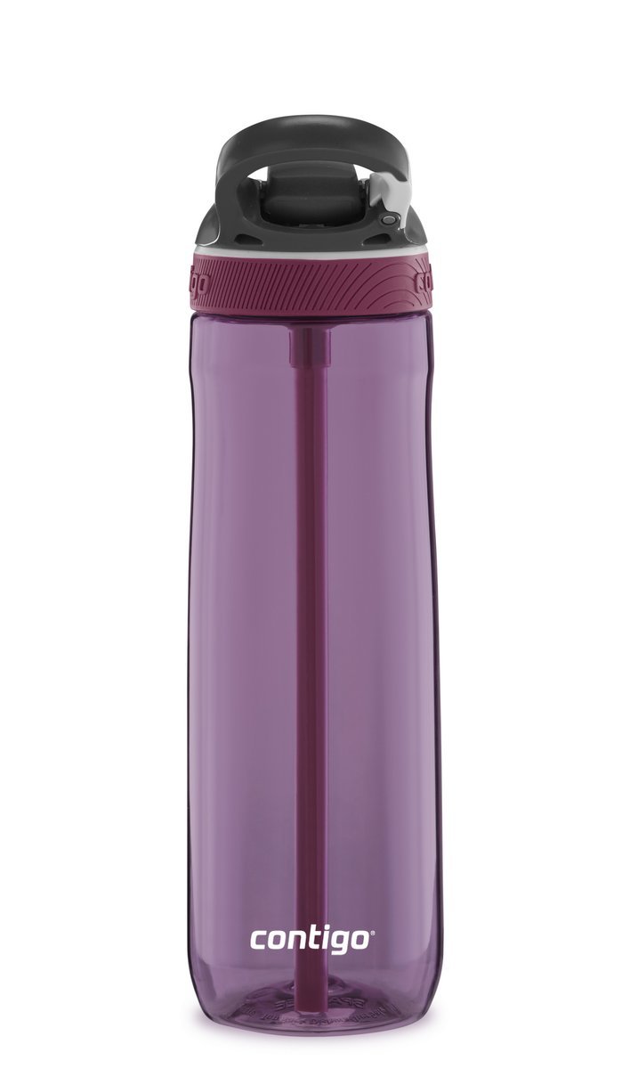 Contigo 24 oz. Cortland 2.0 Tritan Water Bottle with AutoSeal Lid - Blue  Corn 